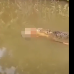 Γενεύη: Σκληρές διαπραγματεύσεις Ρωσίας–Ουκρανίας με «αγκάθι» το Ντονμπάς – Πιέσεις Τραμπ και συνάντηση Ζελένσκι–Πούτιν στο προσκήνιο