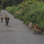 Σαουδική Αραβία: Ο πρίγκιπας Ουίλιαμ της Βρετανίας επισκέφθηκε την όαση Αλ Ούλα