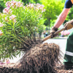 Απεργούν σήμερα οι υγειονομικοί – Συγκέντρωση και πορεία στο υπουργείο Οικονομικών