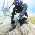 Η Φέρμελη στο Ίδρυμα Τηνιακού Πολιτισμού