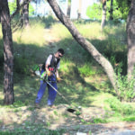 Αρκάς: Καλημέρα με μία μεγάλη αλήθεια