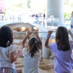 Αλβανία: Ιρανοί χάκερς στόχευσαν στο ηλεκτρονικό ταχυδρομείο του κοινοβουλίου