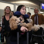 Μητροπολίτης Καλύμνου για εικόνα Αγίου Εφραίμ: «Η εικόνα αναβλύζει, το θαύμα δεν έχει έρευνα»