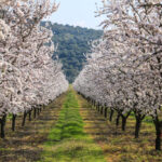 Βουλιαγμένη: Ξεκινά σήμερα η επιχείρηση ανάσυρσης του 34χρονου δύτη από ειδικά εκπαιδευμένη ομάδα