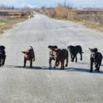 Η «Αποστολή» της Ιεράς Αρχιεπισκοπής Αθηνών τιμά την Παγκόσμια Ημέρα Ποίησης- Δείτε Γεροντιδάκη, Αϊβάζη, Θρασκιά, Μελισσανίδη να απαγγέλλουν