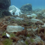 Λαμία: Αδέλφια κυνήγησαν τους κλέφτες και έσωσαν τα χρυσαφικά της μητέρας τους