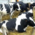 Ο καιρός τη νέα εβδομάδα: Χειμωνιάτικο σκηνικό περιμένουν οι μετεωρολόγοι – Η πρώτη εκτίμηση για το Πάσχα