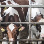 Τραυματισμός 6χρονου σε μαρίνα στον Πλαταμώνα