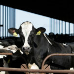 Τρίχρονος Άγγελος: Γροθιά στο στομάχι η δικογραφία για τη δολοφονία του