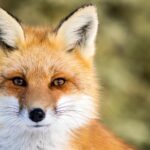 Πολωνία: Τέλος στο αλκοόλ τη νύχτα – Ο δήμος της Βαρσοβίας επιβάλλει νέα απαγόρευση