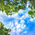 Θεσσαλονίκη: Σύλληψη 30χρονου οδηγού χωρίς δίπλωμα που ενεπλάκη σε τροχαίο – Κατέληξε σε τοίχο σπιτιού