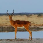 ΟΗΕ: 186 δισ. δολάρια το κόστος του πολέμου στη Μέση Ανατολή για τις αραβικές χώρες