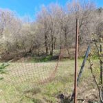 Θεσσαλονίκη: Συνεχίζεται το θρίλερ στον Εύοσμο – Ασφυκτικός ο θάνατος της 59χρονης – Τι εξετάζουν οι Αρχές 