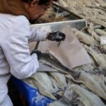 25η Μαρτίου: Τι καιρό είχαμε στην Επανάσταση του 1821 – Η αναλυτική μελέτη του Θοδωρή Κολυδά