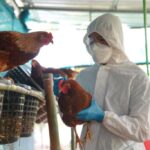 «Επανάσταση» στα παιδικά φάρμακα – Η 3D εκτύπωση τα κάνει μασώμενα και πιο εύκολα στη λήψη Newsroom