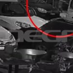 Αρκάς: Ο Αρκάς «καλωσορίζει» την Άνοιξη με… ιδιαίτερο τρόπο – Δείτε το σκίτσο