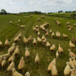 Τροχαίο στη Θεσσαλονίκη: Ι.Χ. προσέκρουσε σε στάση λεωφορείου στο Ε.Ο Θεσσαλονίκης– Περαίας – Τραυματίστηκε οδηγός