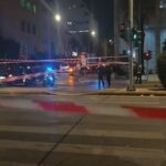 Πρόστιμα άνω των 65.000 ευρώ για πέντε παραβάσεις σε 62χρονο που εγκατέλειψε δύο κουτάβια στην Ασπροβάλτα