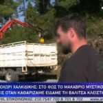 Γιατί οι γενίτσαροι δεν πολέμησαν τους Έλληνες επαναστάτες το 1821, αν και αποτελούσαν την ελίτ του οθωμανικού στρατού