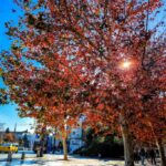 Βούλα: Μία νεκρή και ένας τραυματίας σε σύγκρουση ΙΧ με ταξί [Βιντεο]