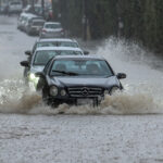 Διασώστης της ΕΜΑΚ βούτηξε στο φράγμα Θέρμης για να διασώσει γλάρο που είχε μπλεχτεί σε σπάγκο – «Ήταν τυλιγμένος στο κεφάλι, τα πόδια, τα φτερά»
