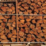 Πόλεμος στη Μέση Ανατολή: Σε εξέλιξη πτήση επαναπατρισμού από το Άμπου Ντάμπι για πολίτες και κατοικίδια