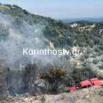 Από 1η Απριλίου ξεκινά ο καθαρισμός στα ακαθάριστα οικόπεδα – Τι αλλάζει φέτος και τα αυστηρά πρόστιμα [βίντεο]