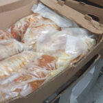 Kύκλωμα-μαμούθ που εξαπατούσε τον ΕΦΚΑ: Δίωξη για κακουργήματα σε βάρος των 22 συλληφθέντων