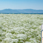 53η «Ημέρα Καριέρας» της ΔΥΠΑ – Η αγορά εργασίας συναντά τους πολίτες στο Ηράκλειο