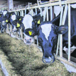 Ελληνικοί patriot: Τι συνιστά η αναχαίτιση των ιρανικών πυραύλων – Αναλύει για το EleftherosTypos.gr o Αρχιπλοίαρχος ε.α. Δημήτριος Κουπατσιάρης