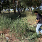 Athens Alitheia Forum: Στο επίκεντρο η αλληλεπίδραση κοινωνίας και bots – «Οι αλγόριθμοι είναι μαθηματικοί τύποι που προορίζονται να τραβούν την προσοχή»