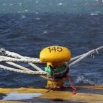 Θεσσαλονίκη: Αστυνομική επιχείρηση του Ελληνικού FBI στον Δενδροπόταμο – Μία σύλληψη [Εικόνες]