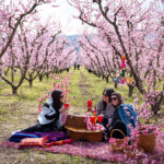 Καιρός: Με ηλιοφάνεια ξεκινά η εβδομάδα ενώ από Τετάρτη έρχεται νέα σφοδρή κακοκαιρία