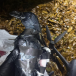 Αντιδράσεις στη Γερμανία για το σχέδιο επιβολής εισιτηρίου στον Καθεδρικό Ναό της Κολωνίας