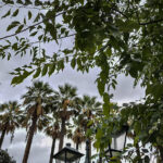 Αρκάς: Η Σαββατιάτικη καλημέρα και η βολική υποκρισία!