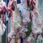 Κρήτη: Τρεις «καραβιές» παράτυπων μεταναστών μέσα σε λίγες ώρες