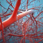 Σοκ στα Ψαχνά: Άνοιξαν τάφο 46χρονου και βρήκαν μέσα χειρουργικό ψαλίδι