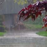 «Ζω Καλά» με τον Μιχάλη Κεφαλογιάννη: Καλεσμένη η Σίσσυ Καλλίνη – Κυριακή 15 Μαρτίου στις 11.30 στον ΣΚΑΪ Newsroom