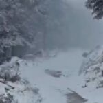 Παύλος Μαρινάκης για Patriot: Πρόκειται για αμυντική ενέργεια αποτροπής