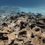 Καλεντερίδης στον Realfm 97,8 για τον πόλεμο στη Μέση Ανατολή: Αν υπάρξει λύση, θα βρεθεί κάπου στη μέση, για να πουν όλοι ότι μείναμε ικανοποιημένοι