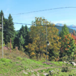 Ερωτήματα για 17χρονη από την Κοζάνη που νοσηλεύεται με κάταγμα κρανίου και ρήξη τυμπάνου και δεν κανείς δεν ήξερε τι συνέβη