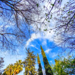 Την Πέμπτη 16 Απριλίου η συζήτηση στη Βουλή για το Κράτος Δικαίου