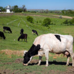 Πέθανε ο συγγραφέας, Γιάννης Μπρούζος – Είχε συγκλονίσει με το βιβλίο που έγραψε στον γιο του