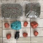 Ιόνια Οδός: Οδηγός πήγαινε ανάποδα επί 6,5 χιλιόμετρα – Συνελήφθη και ισχυρίστηκε πως μπερδεύτηκε [Βίντεο]