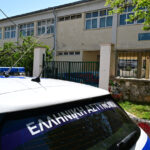 Χαλκιδική: Μήνυση για την κτηνωδία με τη θανάτωση 21 σκύλων κατέθεσε ο δήμος Πολυγύρου – Έκκληση για πληροφορίες