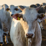 Τραγωδία στο υπουργείο Τουρισμού: Γυναίκα έπεσε από τον 2ο όροφο και σκοτώθηκε – Συνάδελφος την είδε να ανοίγει το παράθυρο και να πηδάει στο κενό