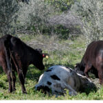 Μαρινάκης για δημόσιο χρέος: Πόσο έχει μειωθεί από το 2020 και μετά στην Ελλάδα – Δείτε πίνακες