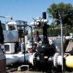 Φιλόζωοι καταγγέλλουν τον δήμο του Παλαιού Φαλήρου πως μετέφερε τα αδέσποτα από το προσωρινό καταφύγιο σε πανσιόν