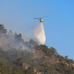 Φωτιά σε δασική έκταση στο Λέπρεο Ηλείας