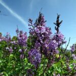 Πέθανε ο Σέρκος Τζανικιάν – Ο γνωστός κοσμηματοπώλης ήταν 82 ετών